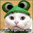 Aleks
